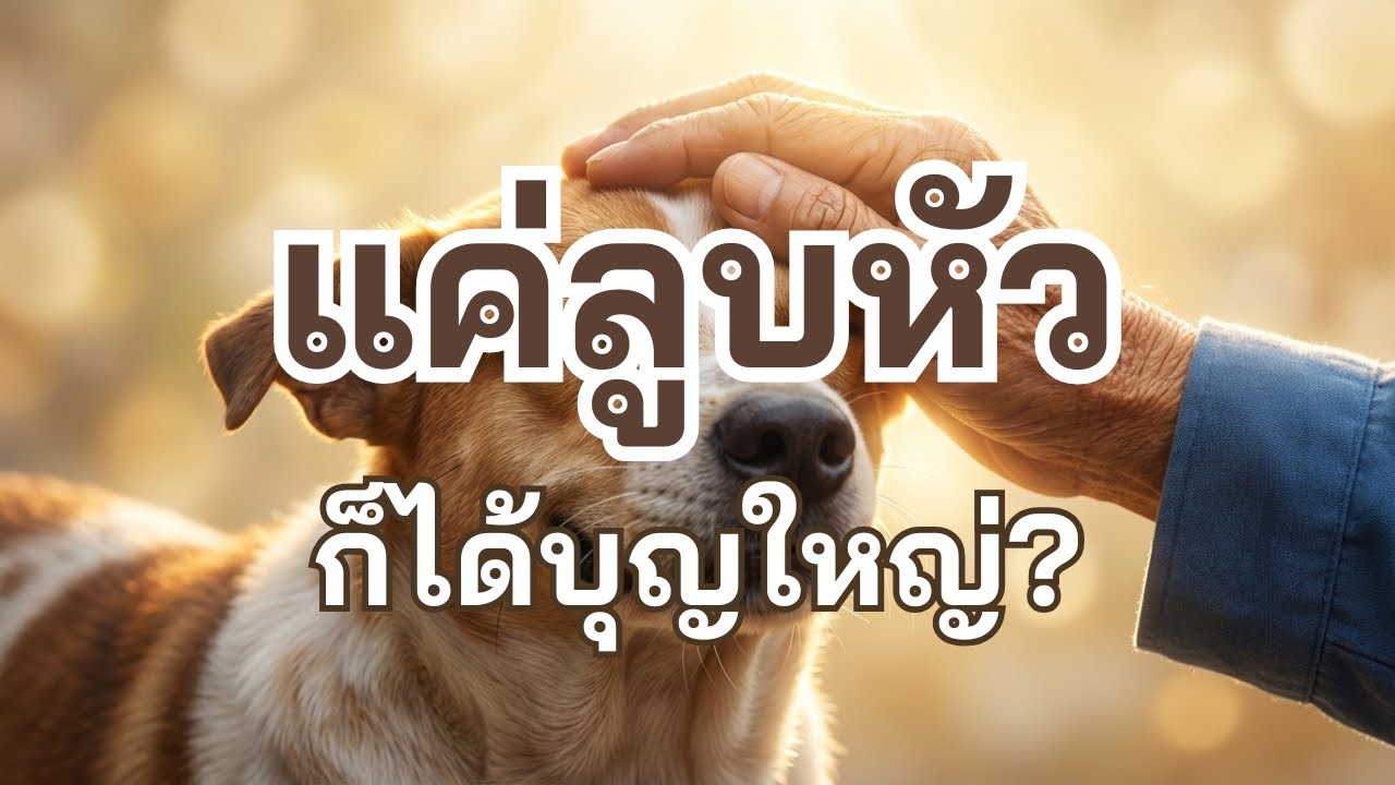 แค่ลูบหัวก็ได้บุญ? วิธีเลี้ยงสัตว์ให้เป็นกุศลใหญ่ (ฟังเพลินก่อนนอน) | ลุงบุญ