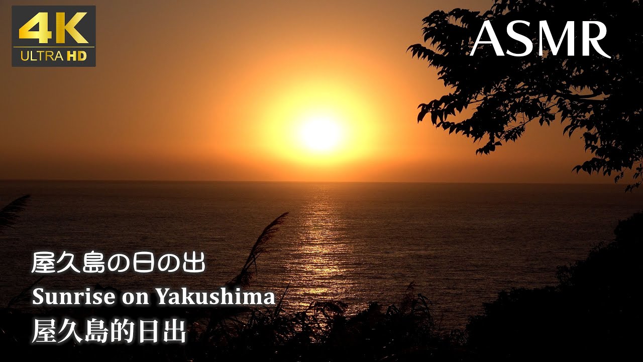 【４K】屋久島の日の出～Sunrise on Yakushima～屋久島的日出