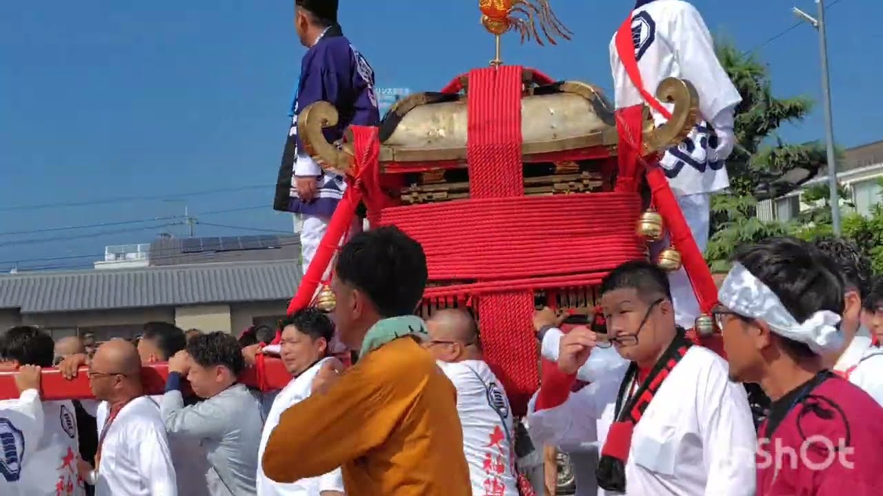 【伊予大神輿2025】伊予市秋祭り