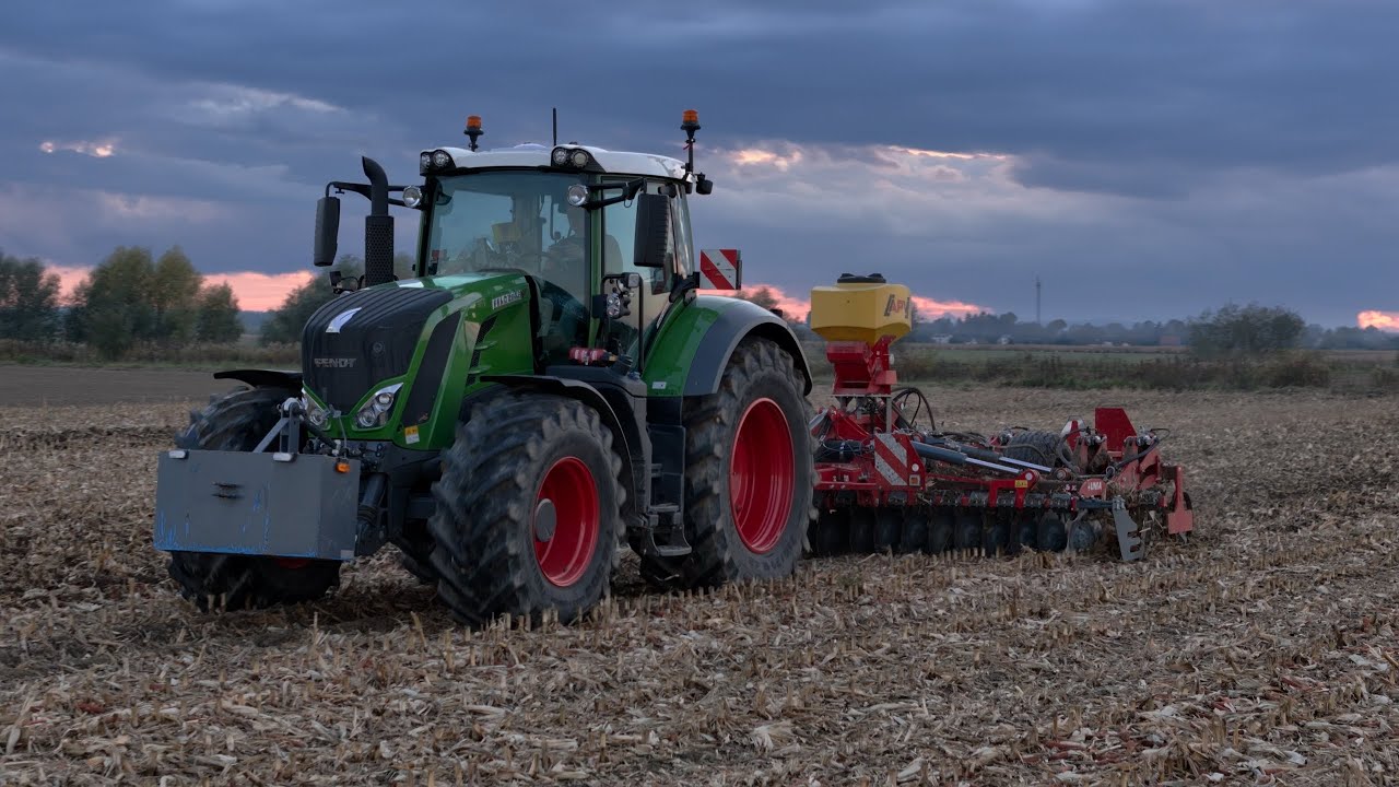 Kukurydza jeszcze mokra więc jedziemy talerzować ścierniska | FENDT 826 & UNIA ares 5hp