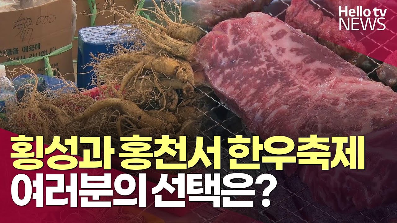 횡성과 홍천서 경쟁적 한우축제 열려 ㅣ #헬로tv뉴스
