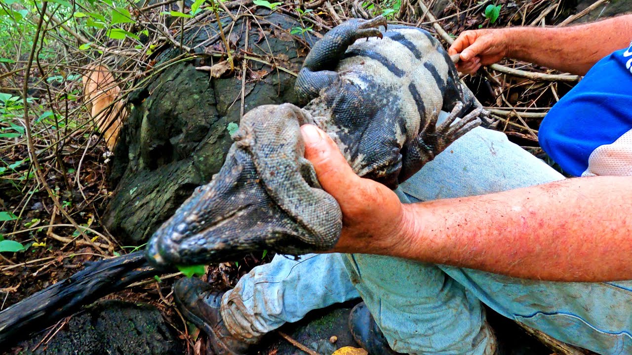 ATRAPAMOS UN GAARROBO GIGANTE! NO CREERÁS LO QUE SUCEDIÓ DESPUÉS