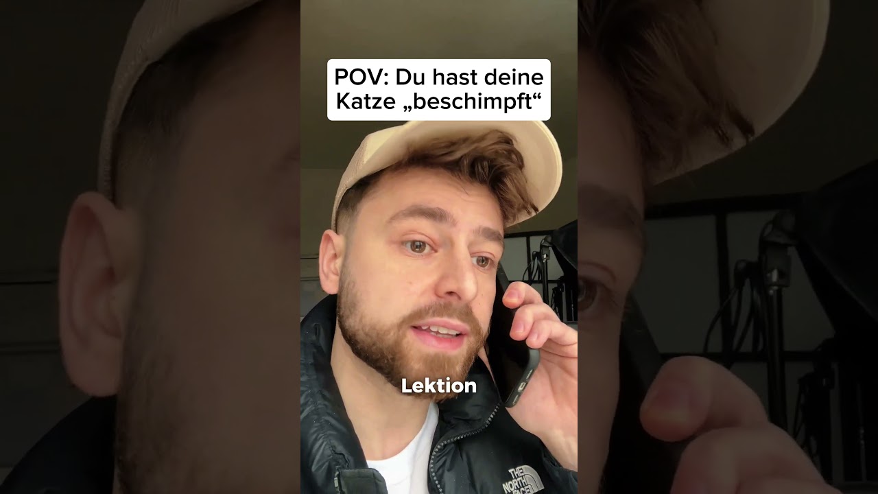 Seine Katze beschimpfen..