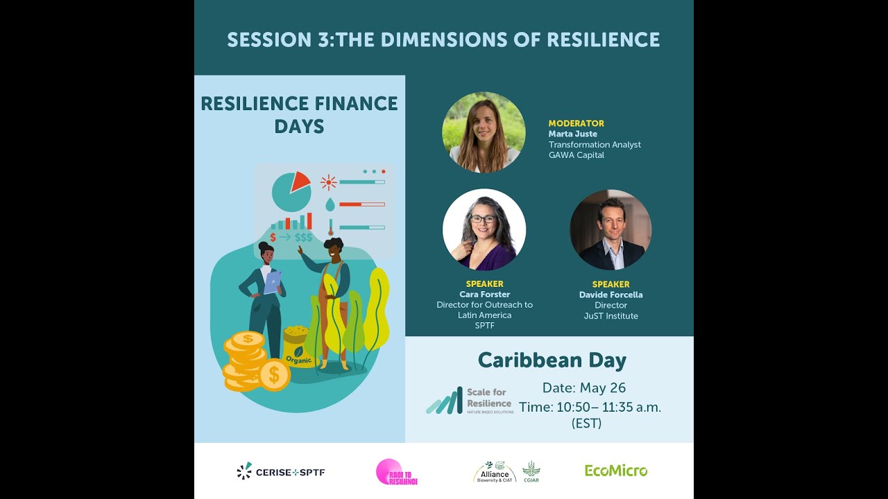 Resilience Finance Days_Session 3: The dimensions of resilience