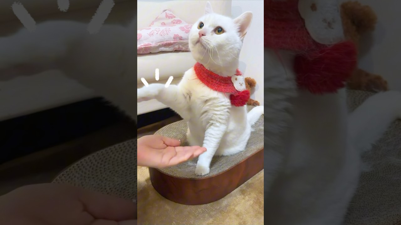 Тем, кто усердно трудится