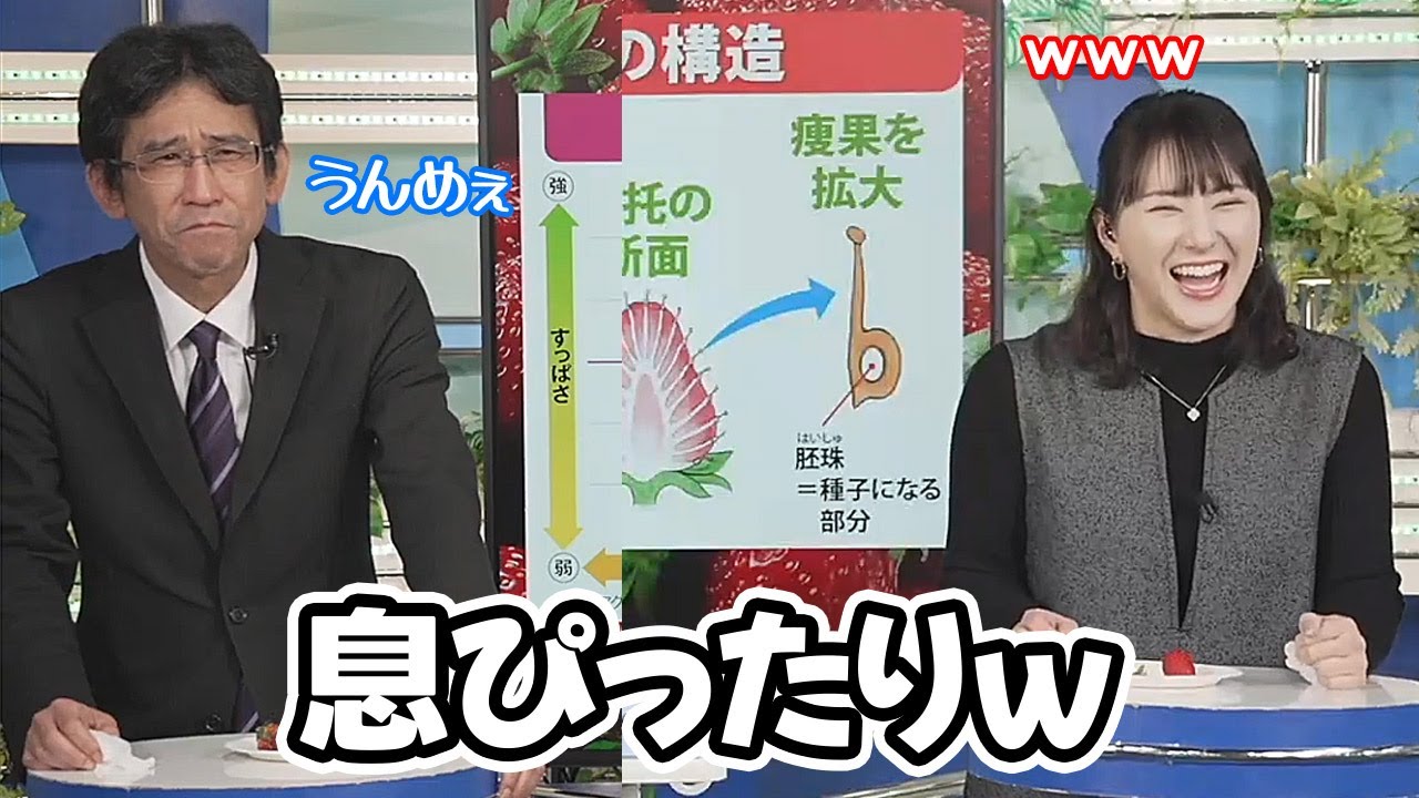【白井ゆかり・山口剛央】特別企画に急遽駆り出される予報士さんと息ピッタリなお天気キャスター