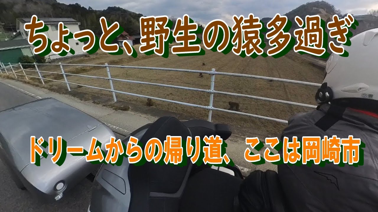 2602 DREAM 岡崎で更新の手続きをして来ました