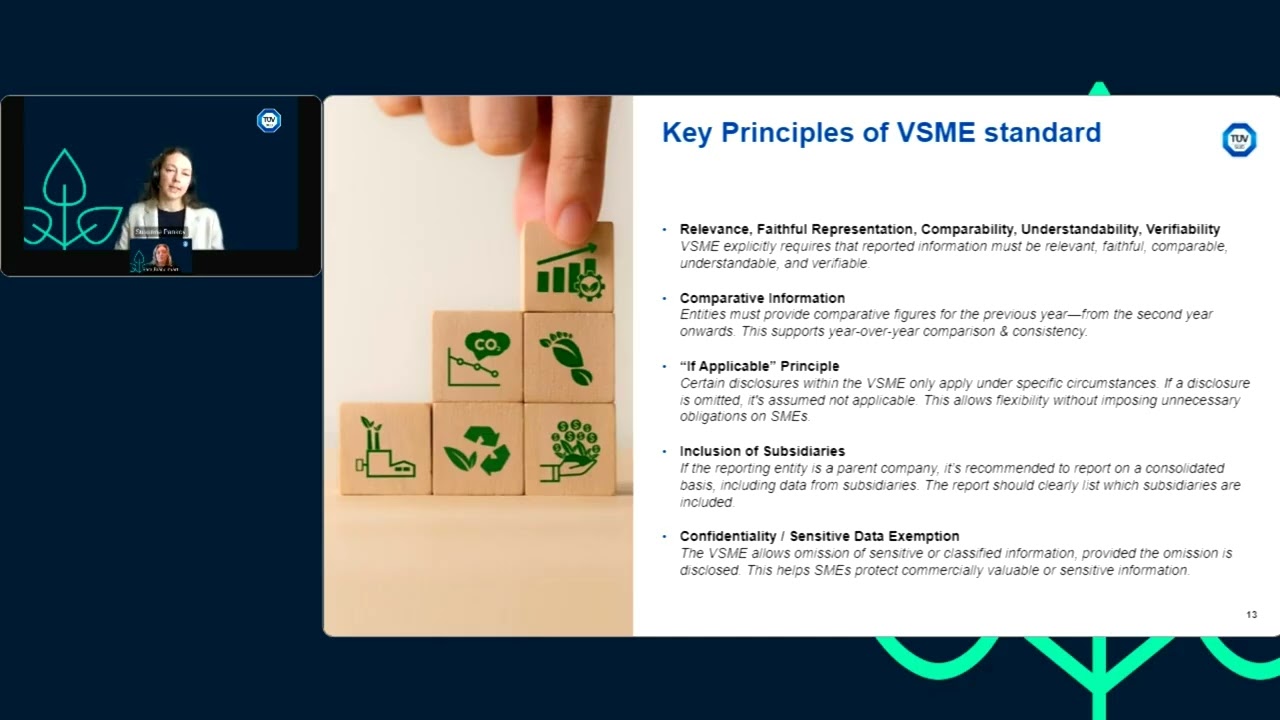 Webinar // VSME for SMEs and Across the Value Chain