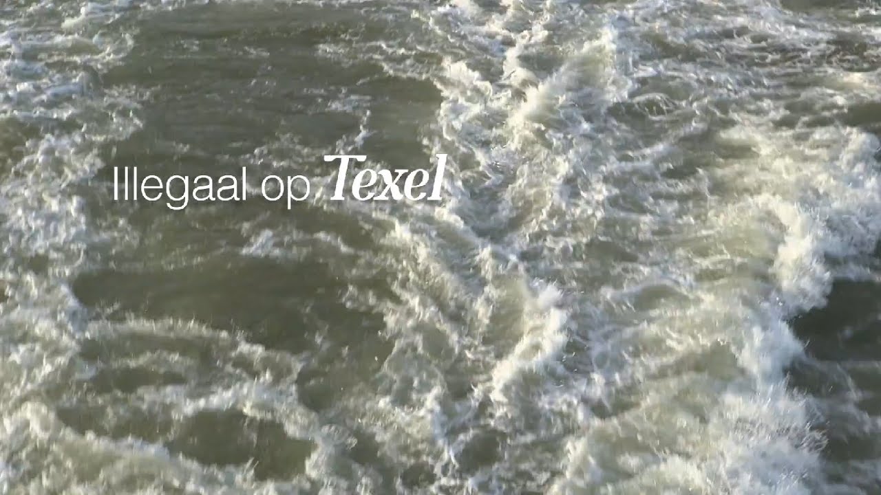 Illegaal op Texel