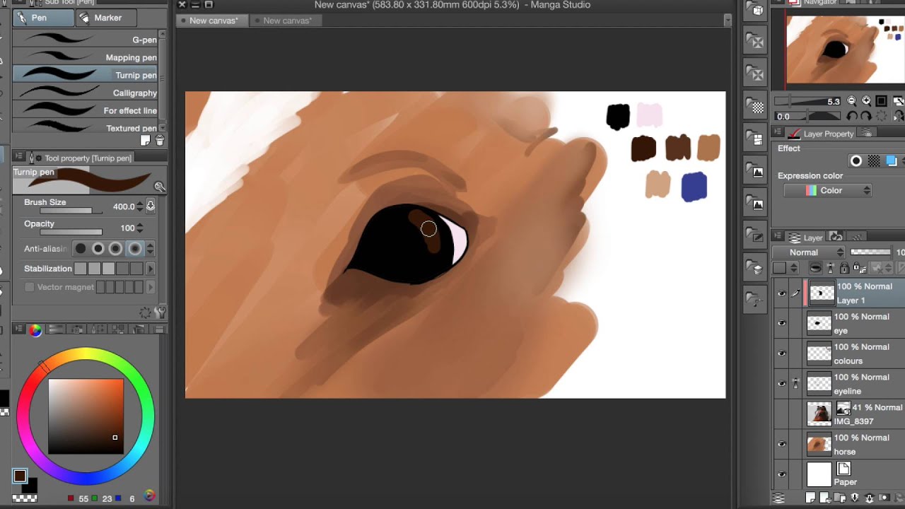 Brown Eye - Full Digital Timelapse
