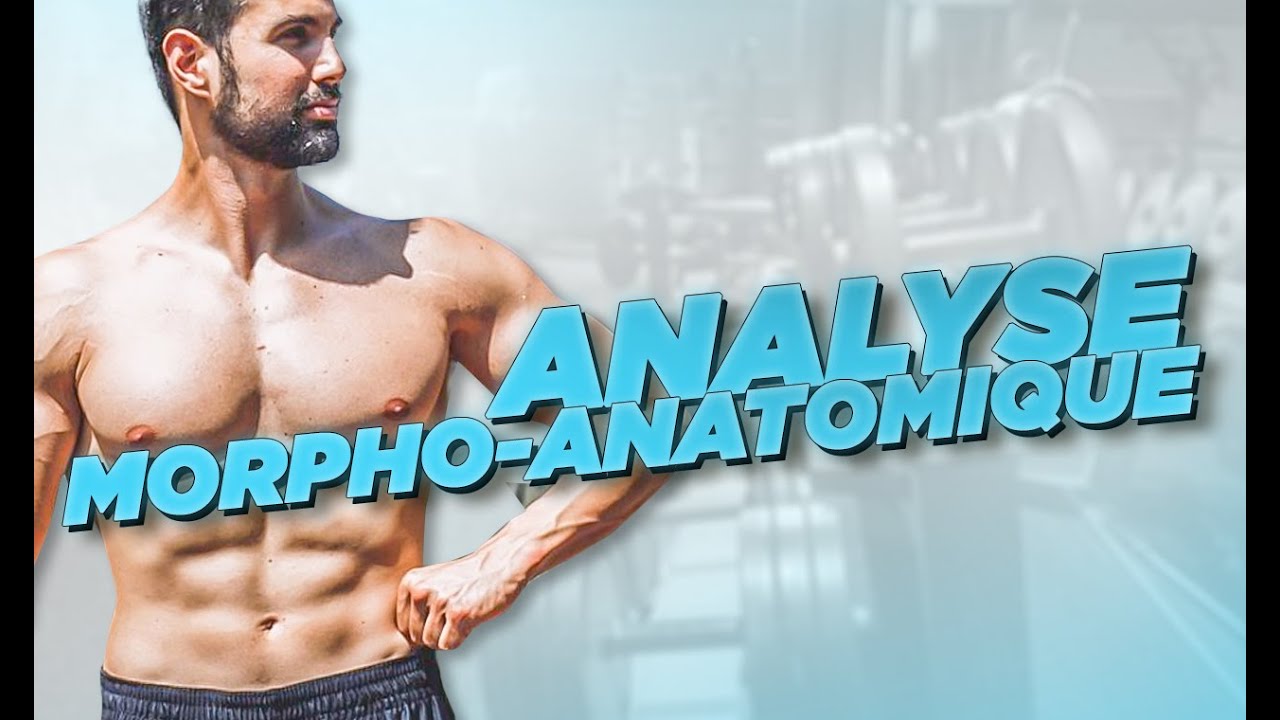 L'ANALYSE MORPHO-ANATOMIQUE EN MUSCULATION