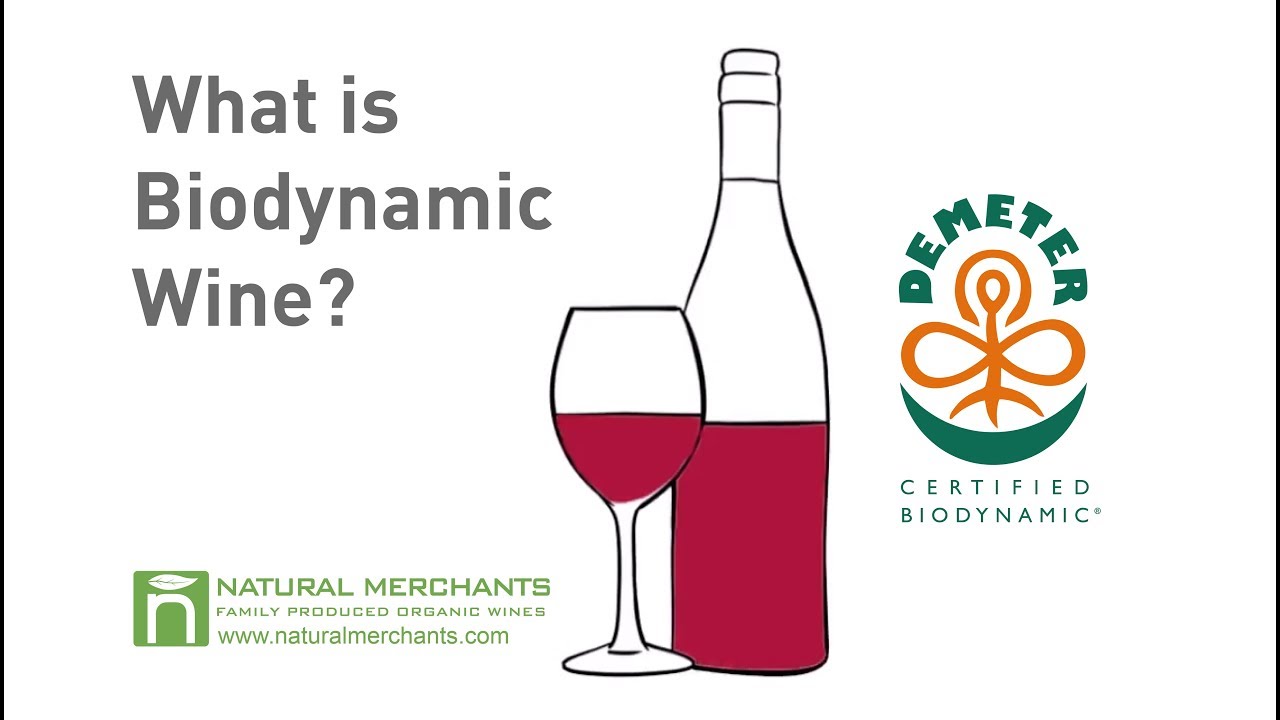 What is Biodynamic Wine? - Natural Merchants Organic Wine