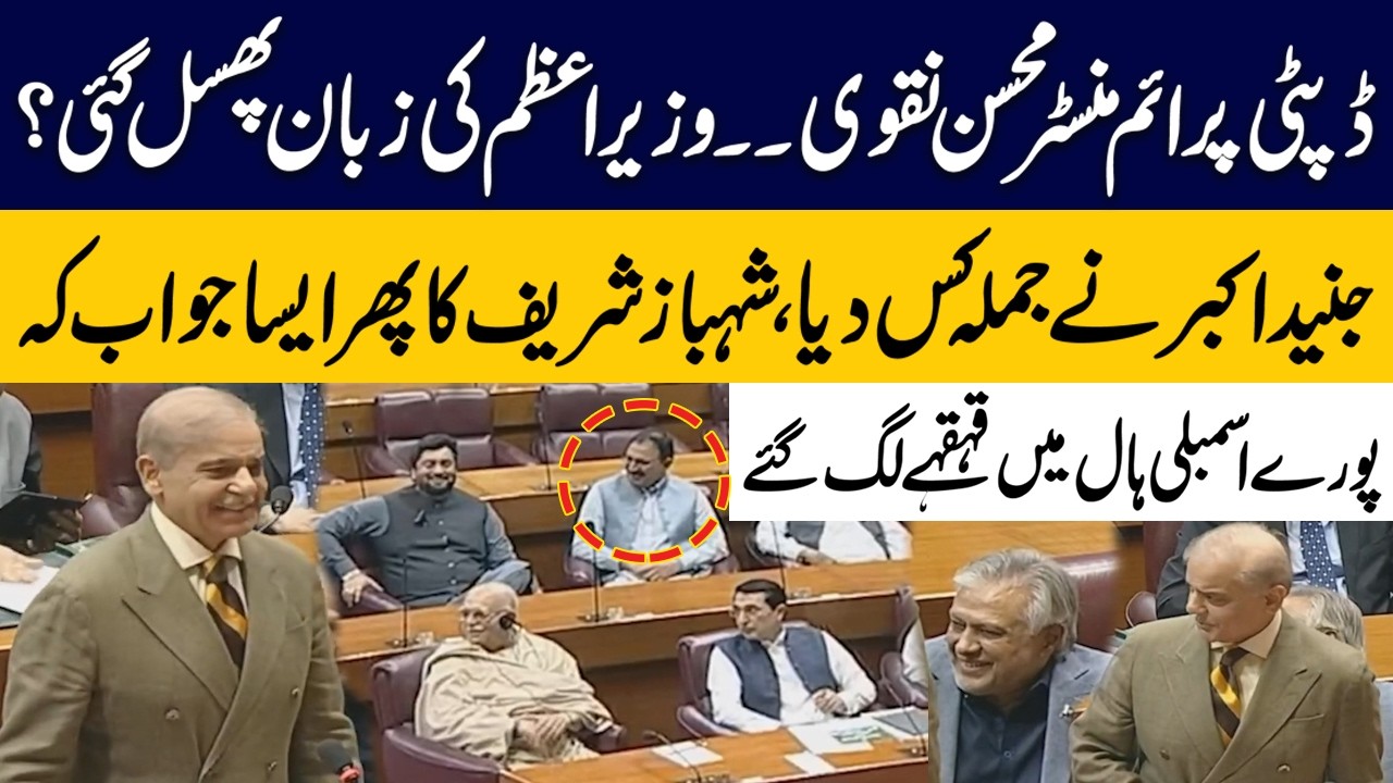 PM Shehbaz Sharif's Hilarious Reply to Junaid Akbar | National Assembly | Budget 2026 | Public News