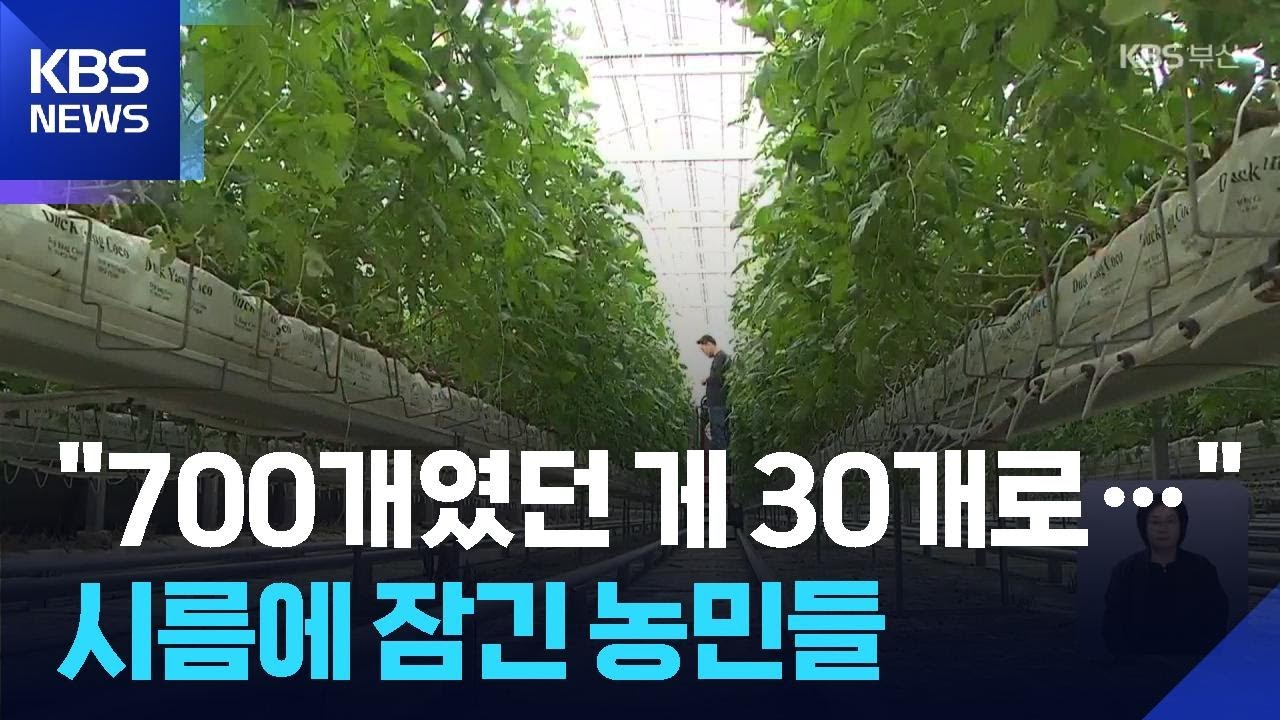 비료&middot;기름 폭등&hellip;농민도 운전자도 &lsquo;사면초가&rsquo; / KBS  2026.04.10.