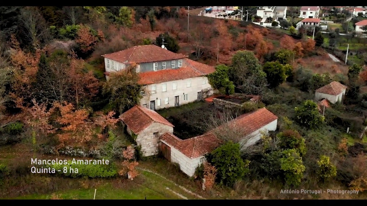Quinta Mancelos, Amarante - 8ha