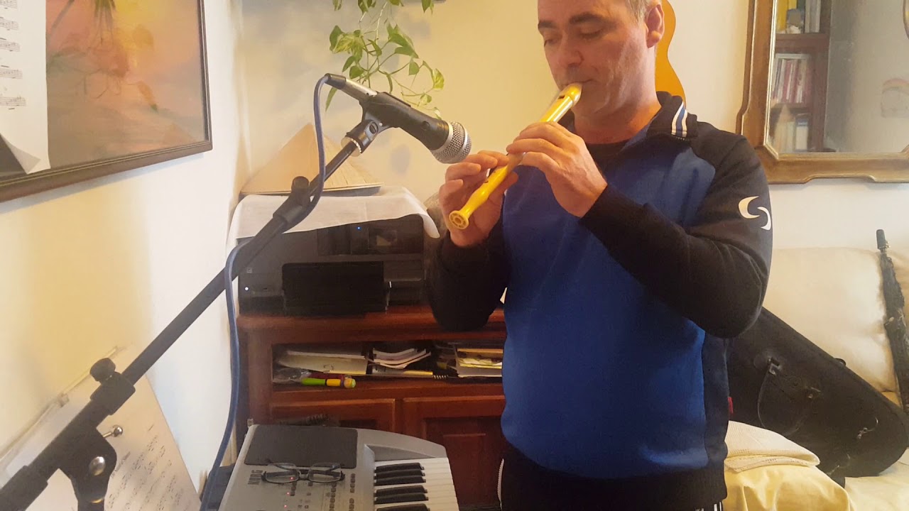 TUTORIAL esecuzione musica the sound of silence
