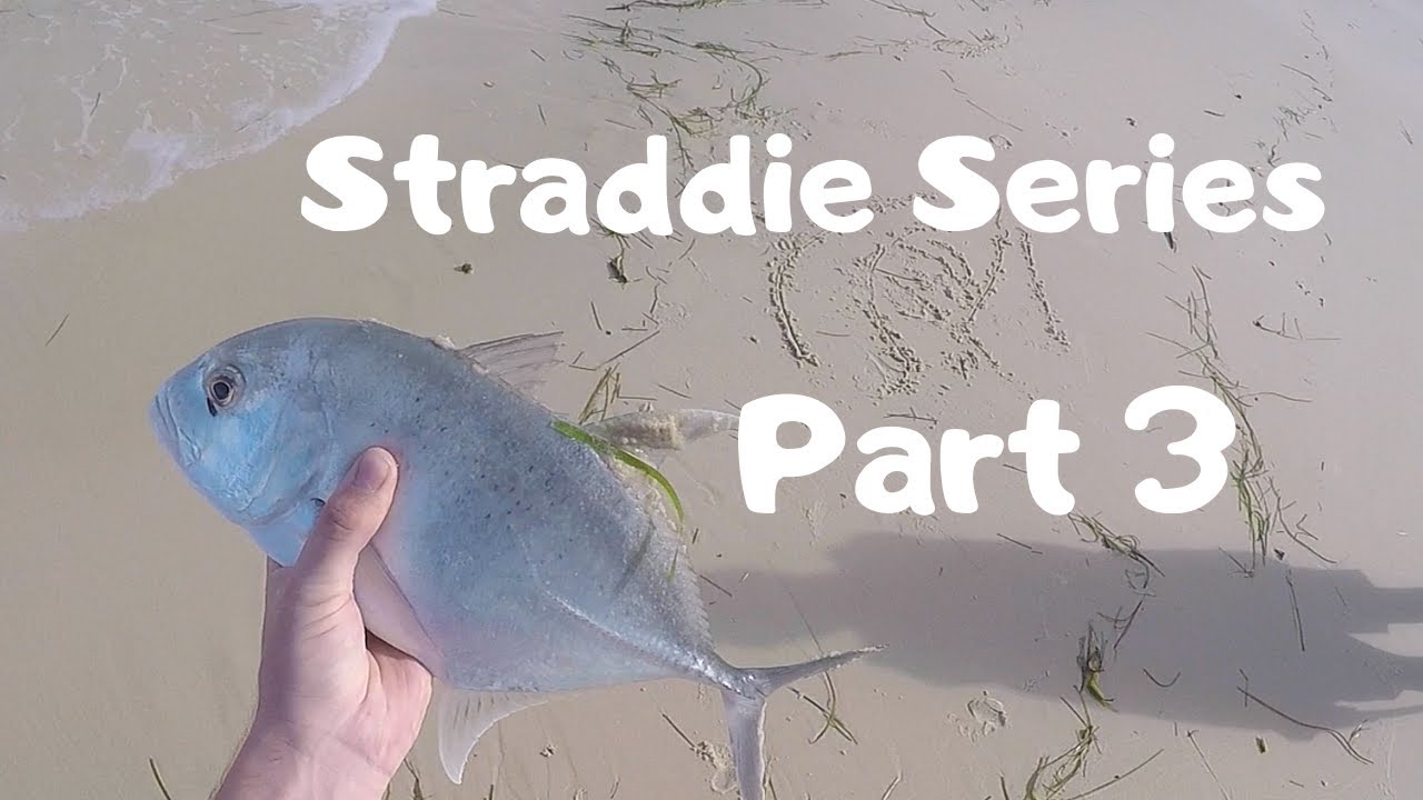 Straddie Series Episode 3 - Jumpinpin Flathead, Trevally and Topwater Tailor!!