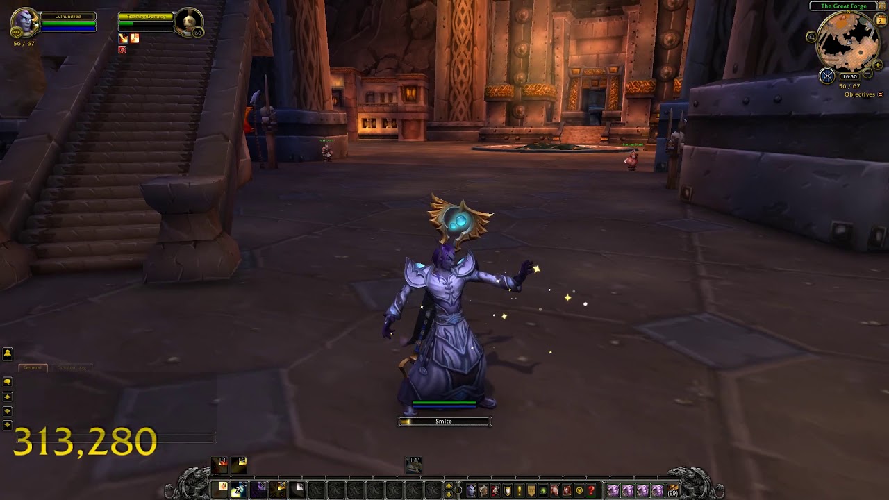 WOW Animations - Allied Races - Void Elf Discipline Priest (male)