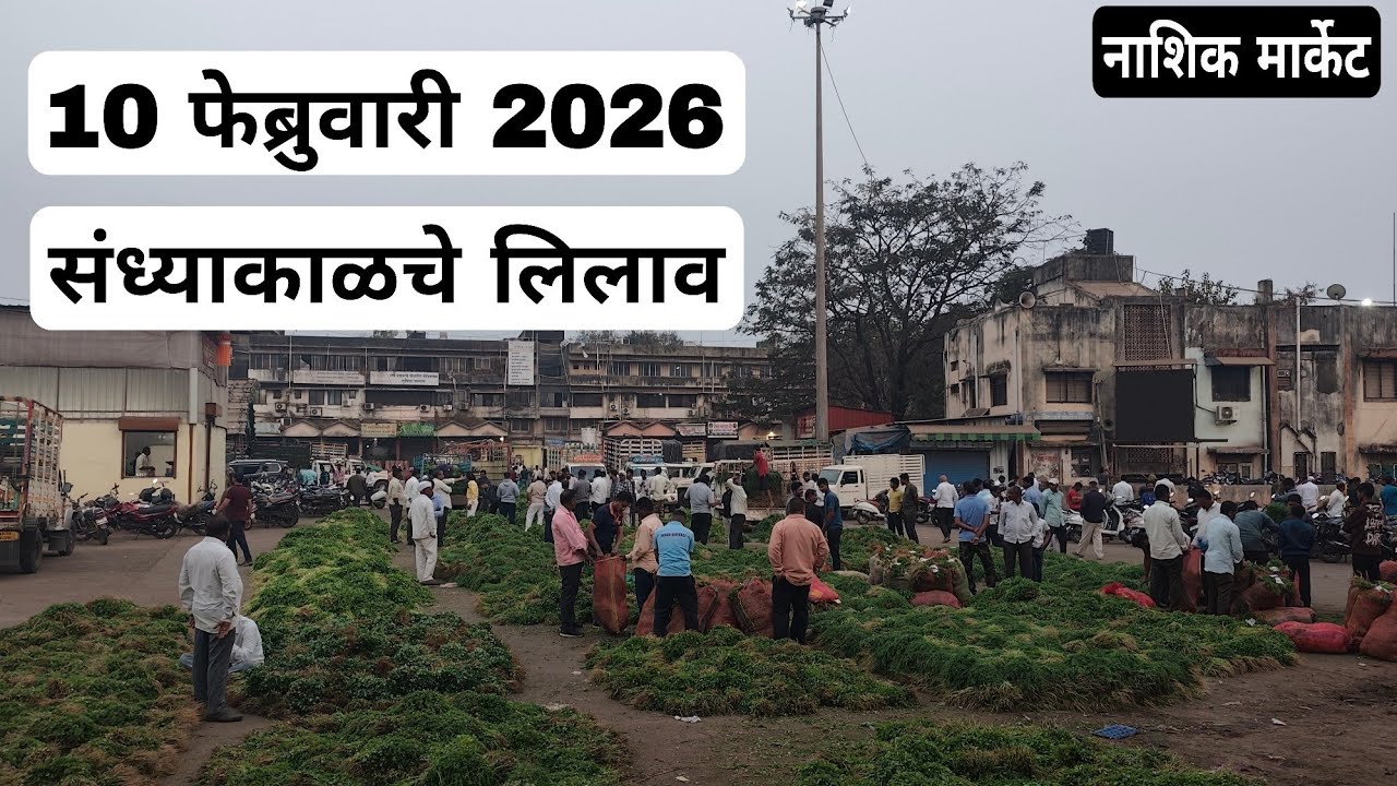 10 फेब्रुवारी 2026 | संध्याकाळचे लिलाव नाशिक मार्केट | Vegetables market nashik rate today 