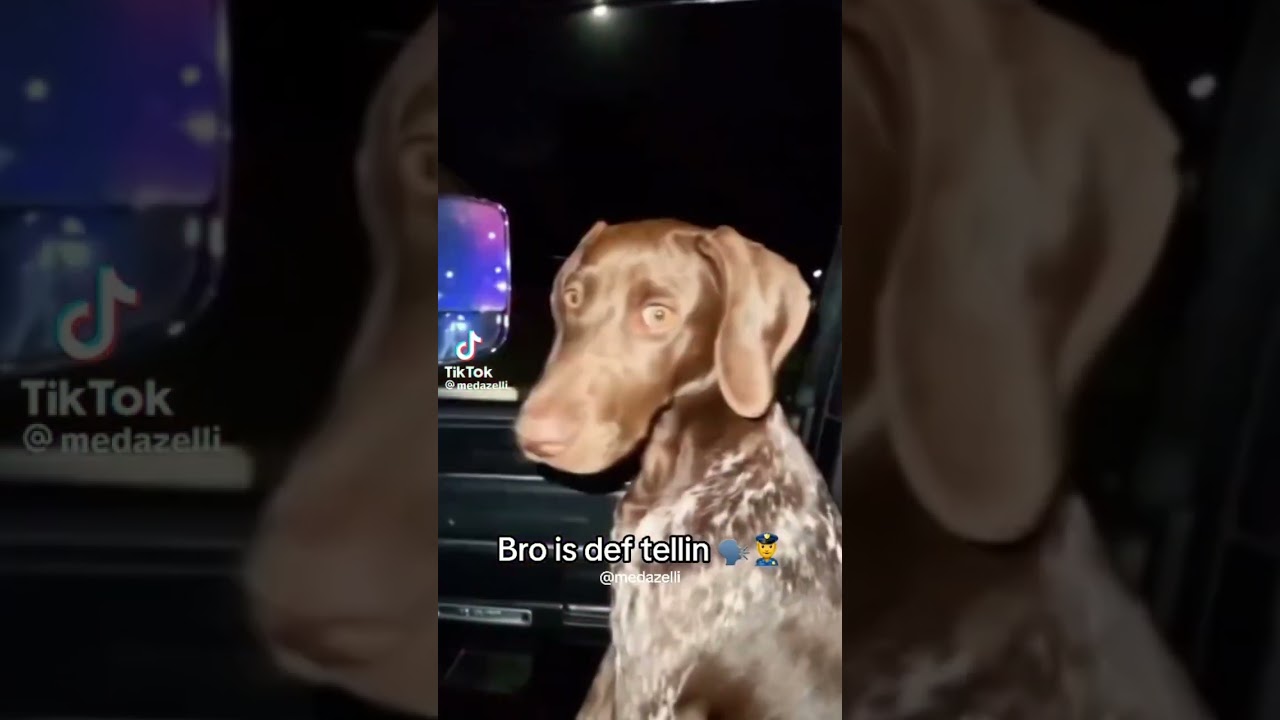 He buggin so he must not know that I'm Thuggin TikTok