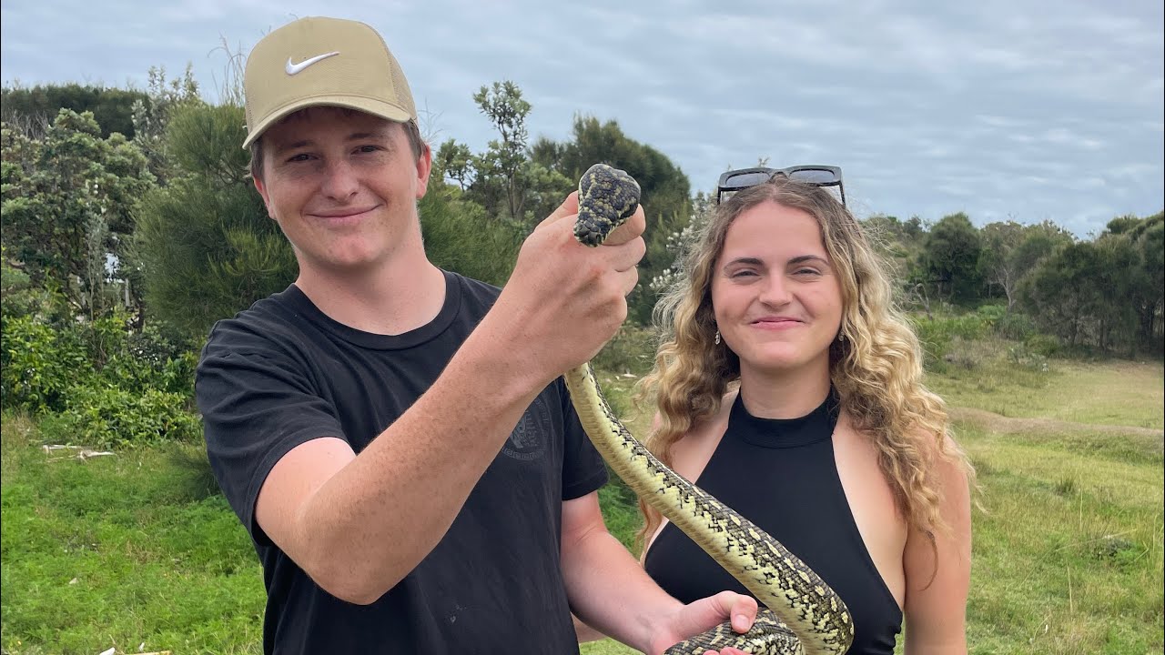 Python release 