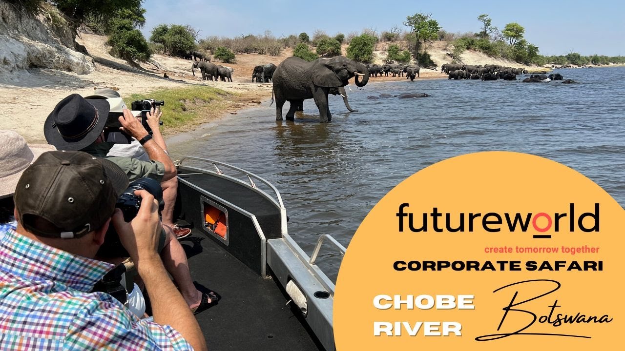 Future World Corporate Experience.