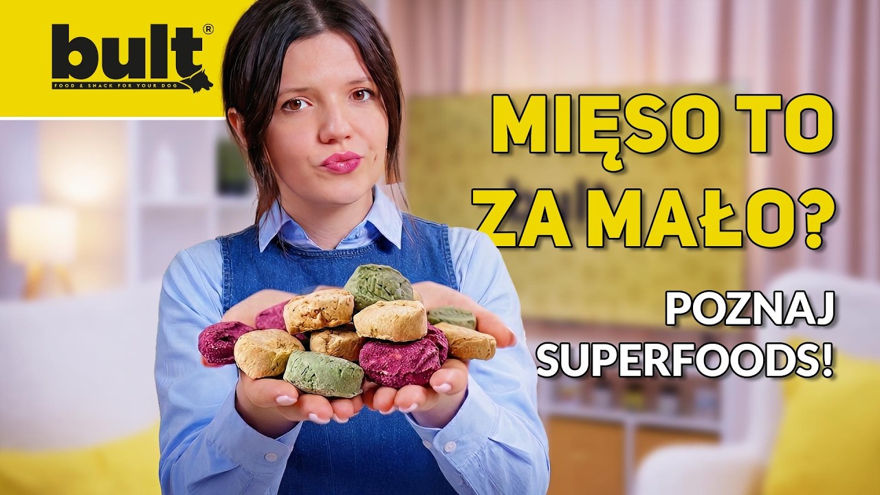 Czy psy powinny jeść warzywa i owoce? Sprawdź czy robisz to dobrze