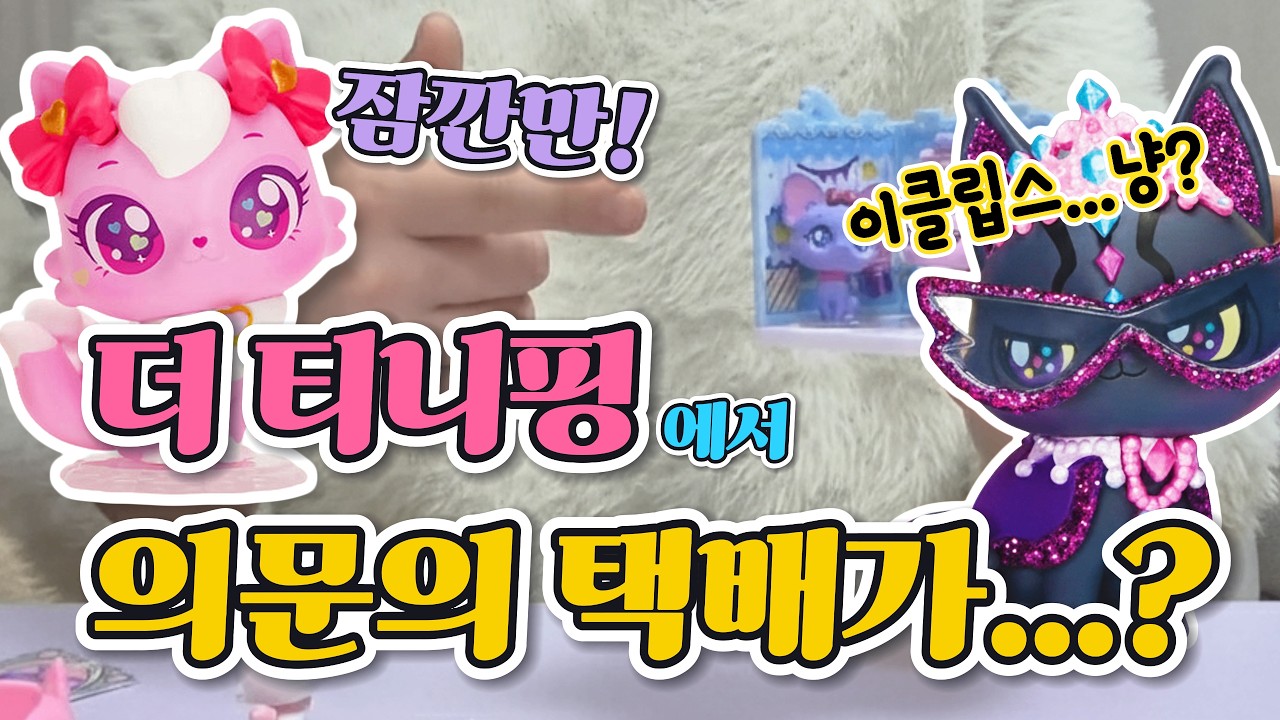 선물이 이 정로라고요? 🐱 위시캣 시즌2 피규어 선공개? 매직룸 랜덤 피규어와 위시캣 소원패드 언박싱