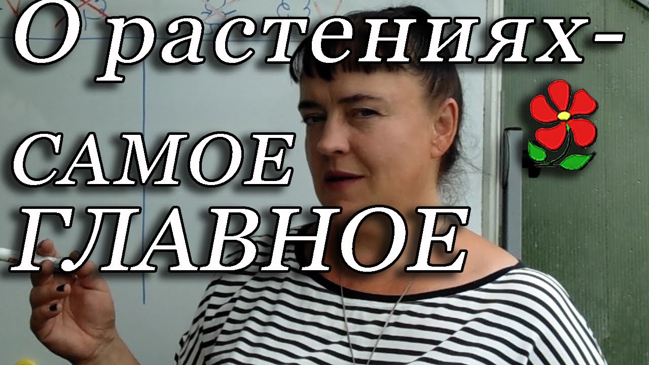 Главное, что нужно понимать и знать о растениях!
