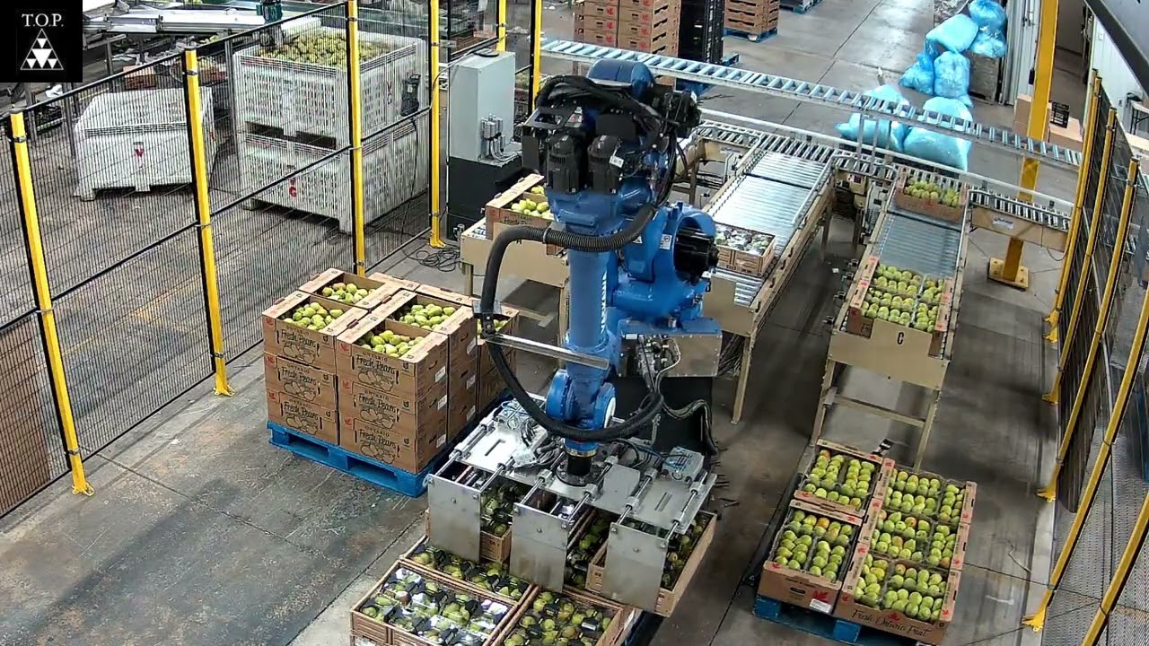 Robot Palletizer for RPC, Display Cases & Boxes | All-in-One Palletizing Solution