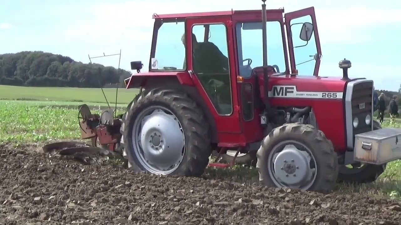 Fynspløjning på Sandager Skovgård MVTKF 2025 🇩🇰🚜