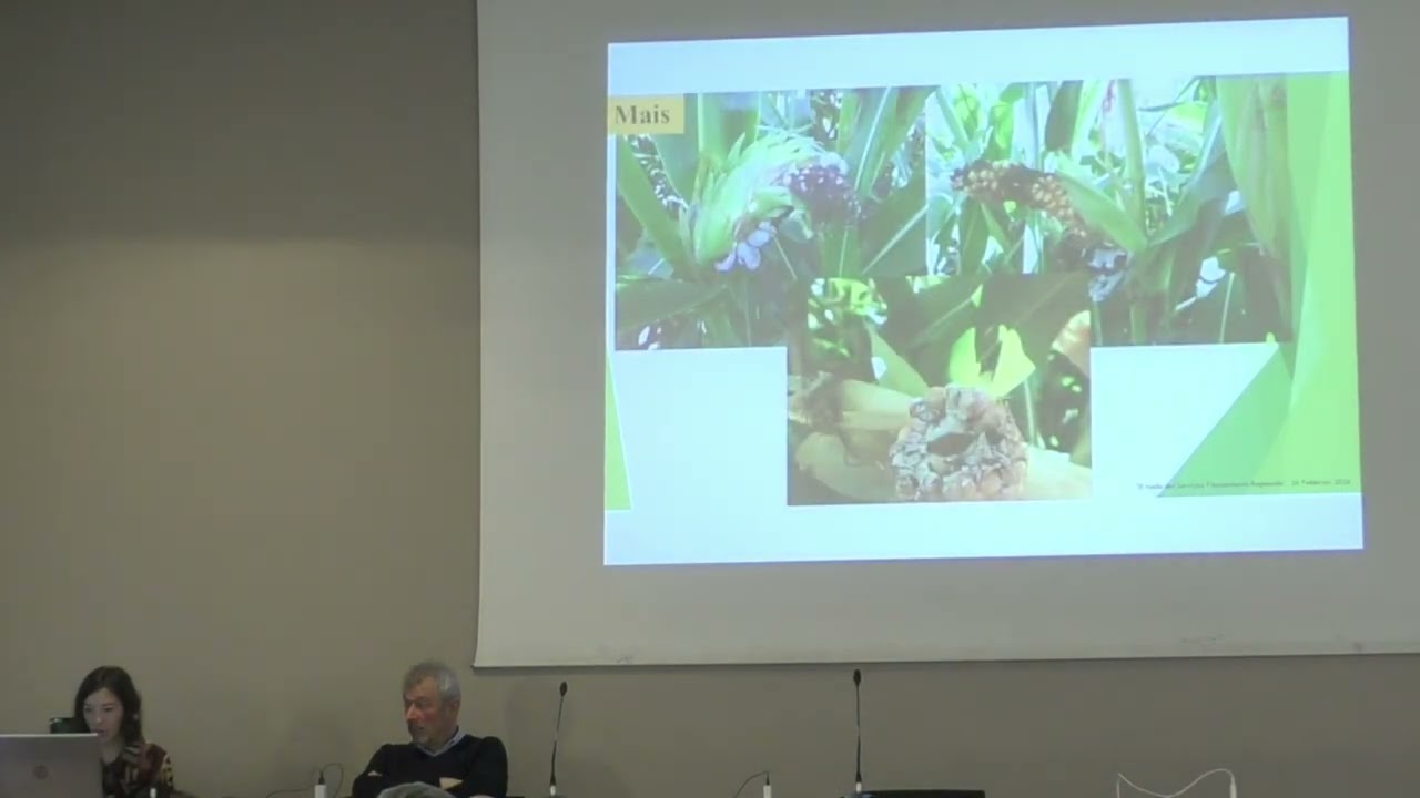 Rovigo 26/2/26 - FOCUS TECNICO Collegio dei Periti Agrari. 1° Intervento