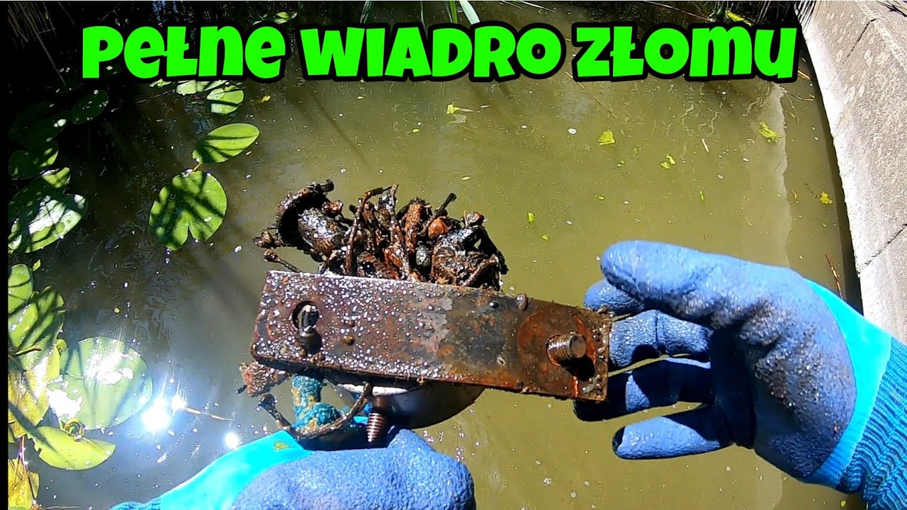 Magnes łowi złom z jeziora w Ostródzie 175