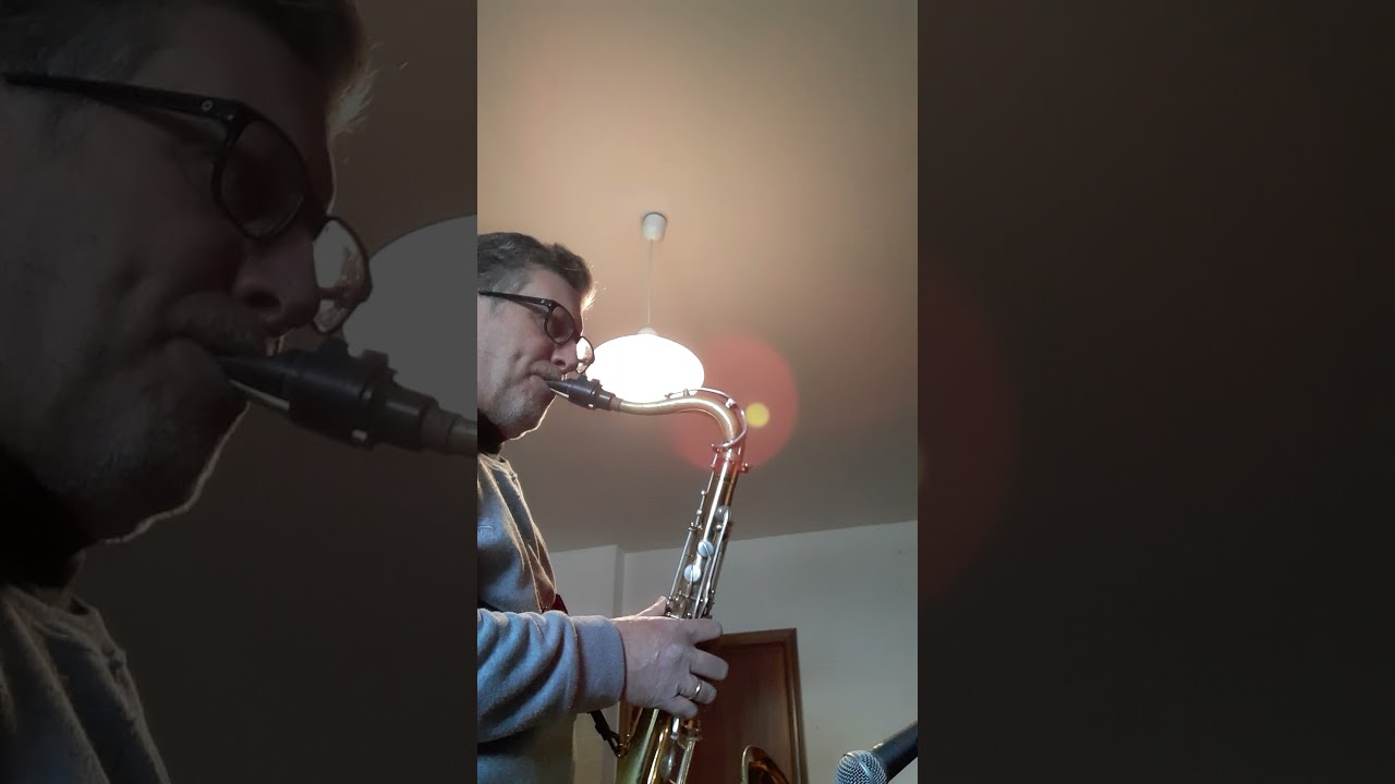 DINDI - (A.C. Jobim) - Stefano Conforti , Tenor Sax