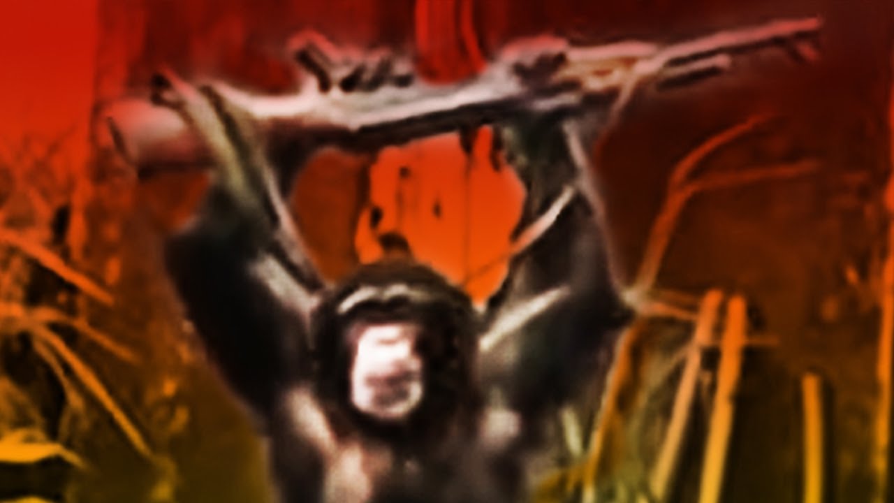 The Gombe Chimpanzee War (Documentary)
