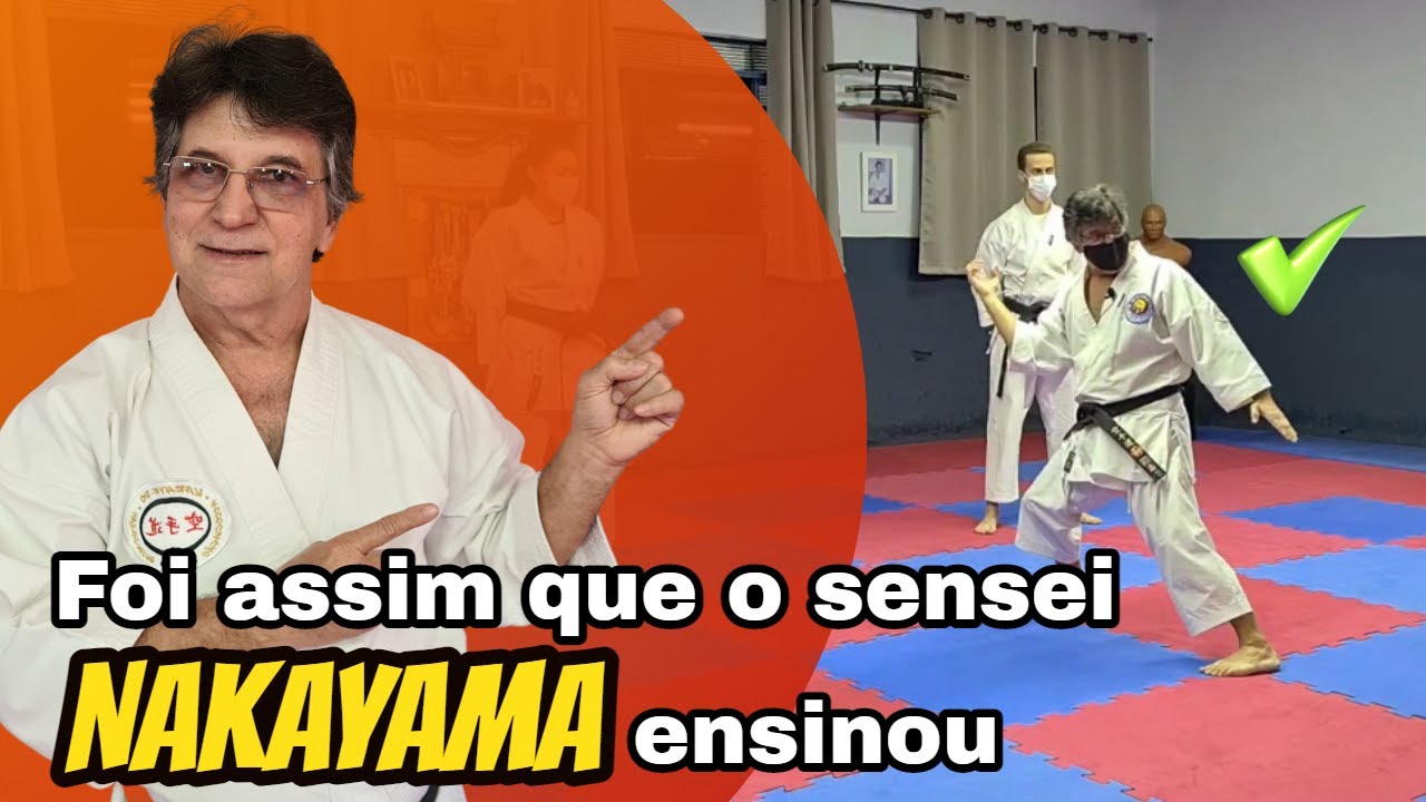 Entenda a forma correta de fazer o final do heian godan | Karate Gabriche  live de kata 29