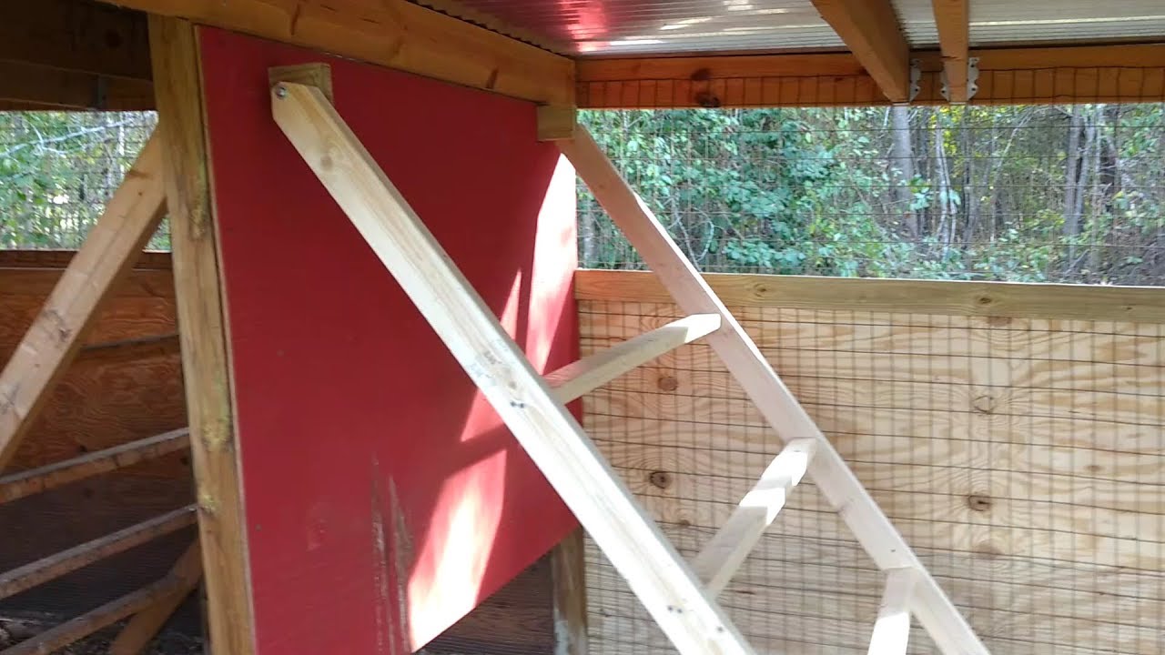 Adding more roosting space to the chicken coop.