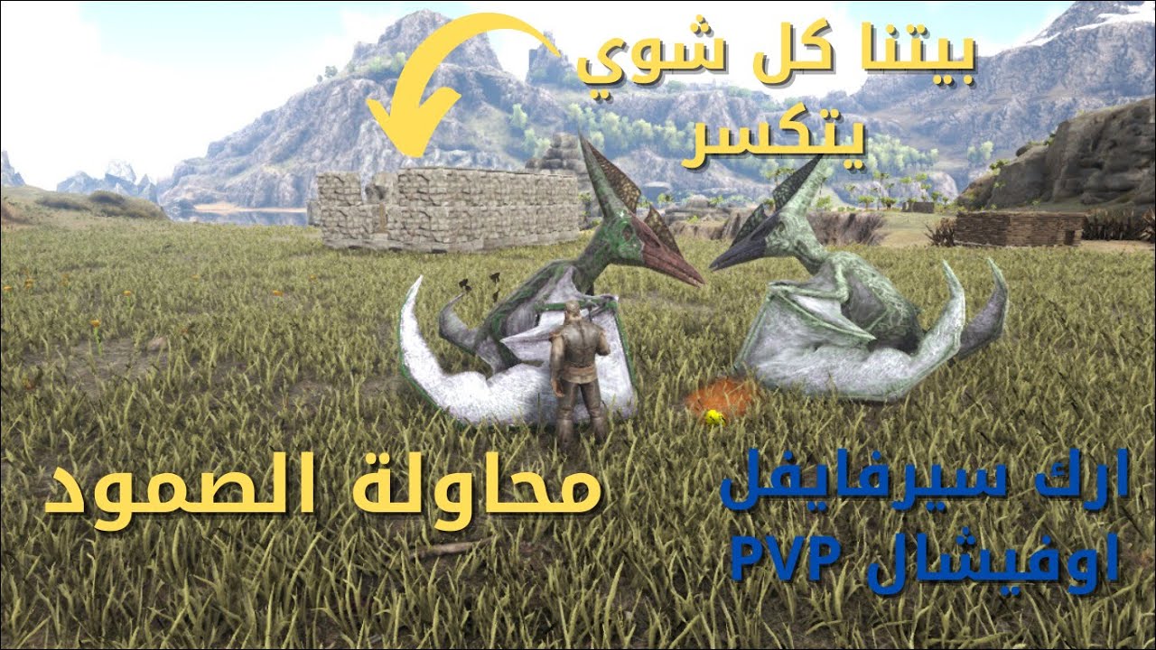 ارك سيرفايفل اوفيشال PVP ماب راقناروك |  الحقله 3 |  بيتنا تكسر للمره الألف + نحل مشكلة الطيران