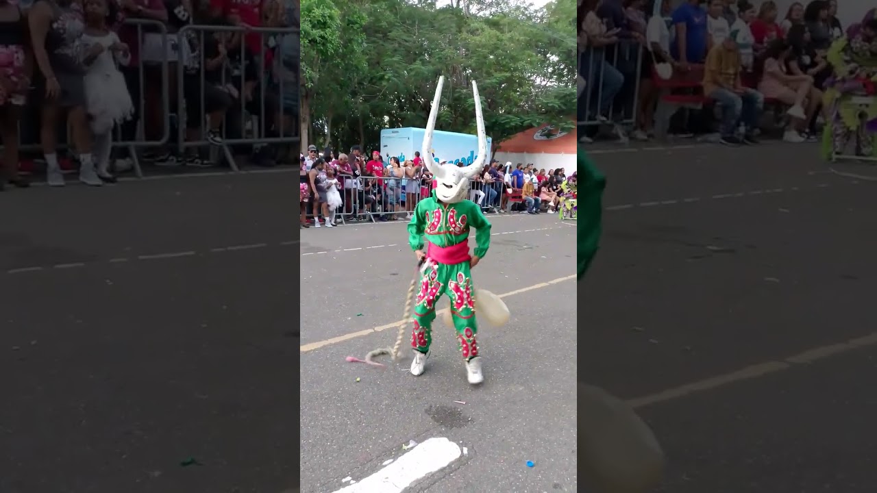 CARNAVAL DE SANTIAGO DE LOS CABALLEROS video sin edición y audio original de la presentación do 23.