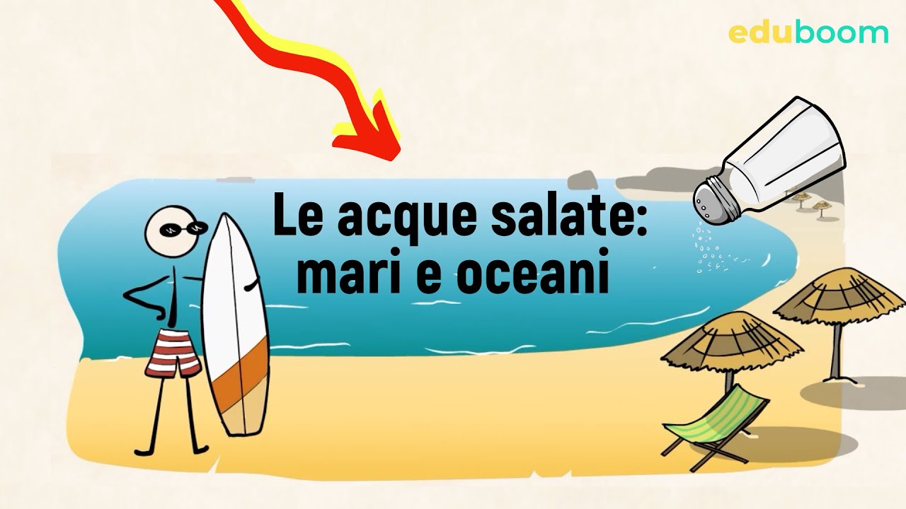 Le acque salate: mari e oceani - 1а media