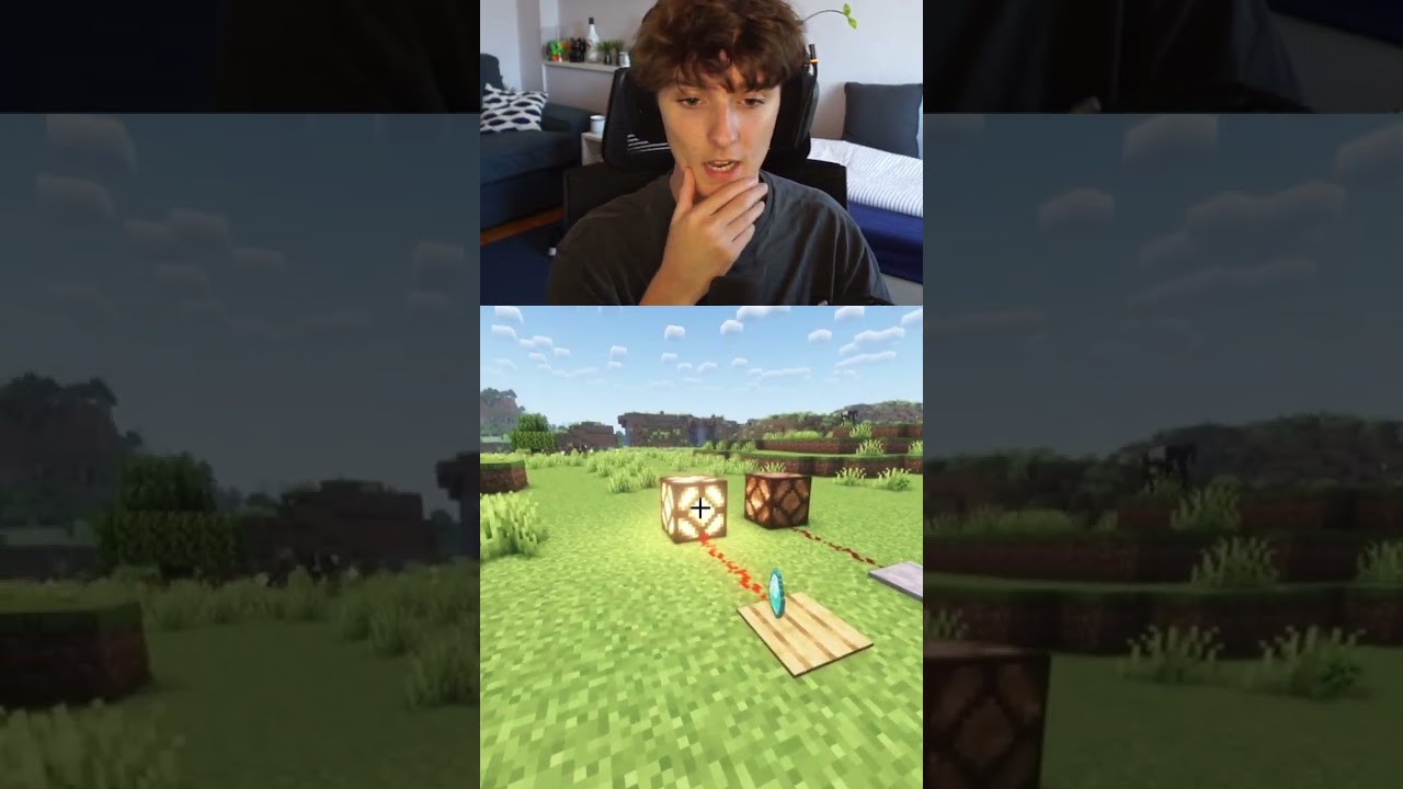 Wusstet ihr das Letzte? #platinumdot #minecraft #fakten
