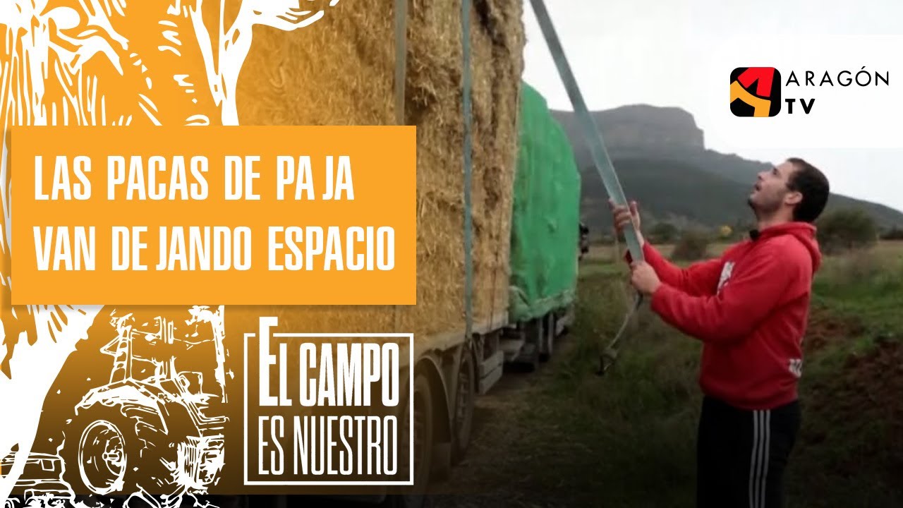 Las pacas de paja van dejando espacio para el regreso de las vacas.