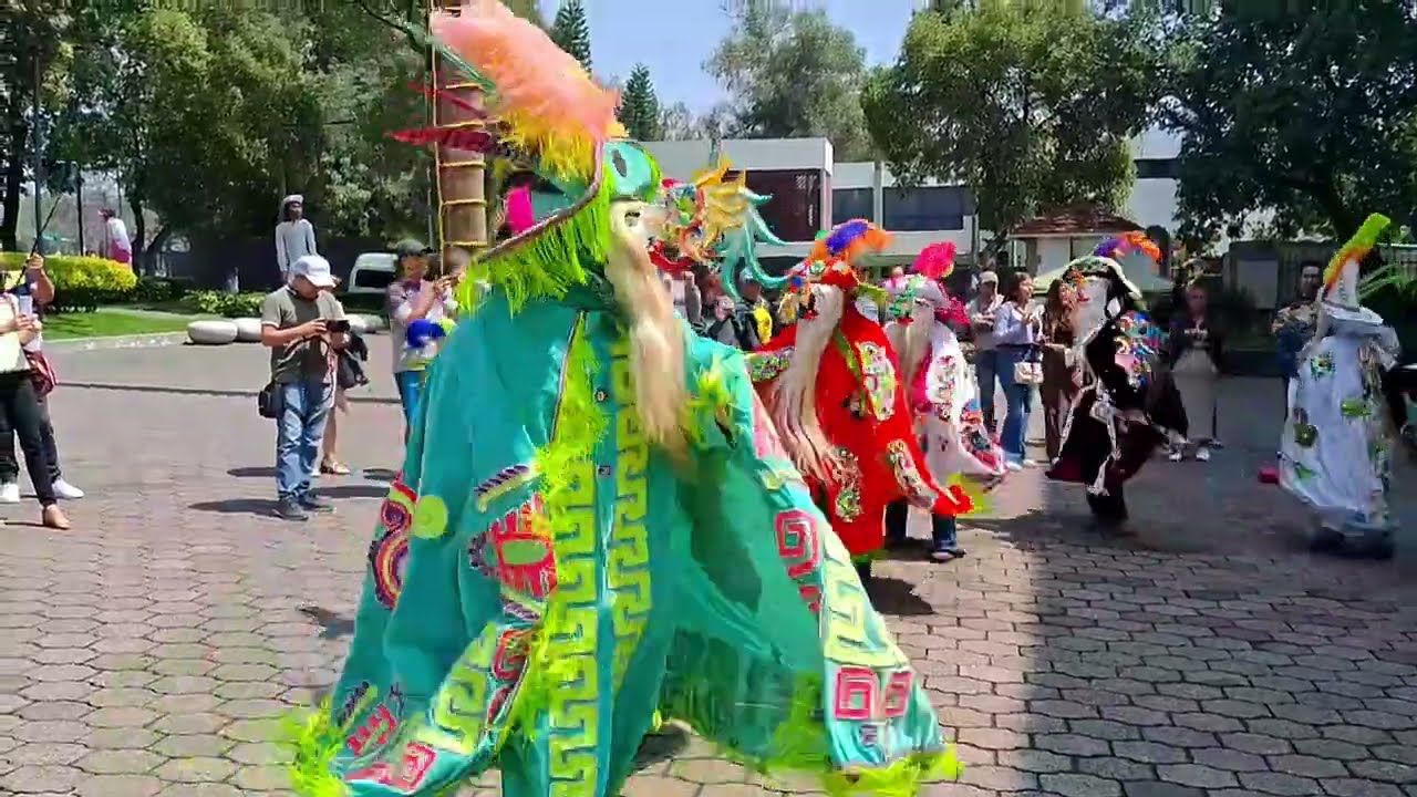 Carnaval de Zacualpan, Veracruz en Los Pinos