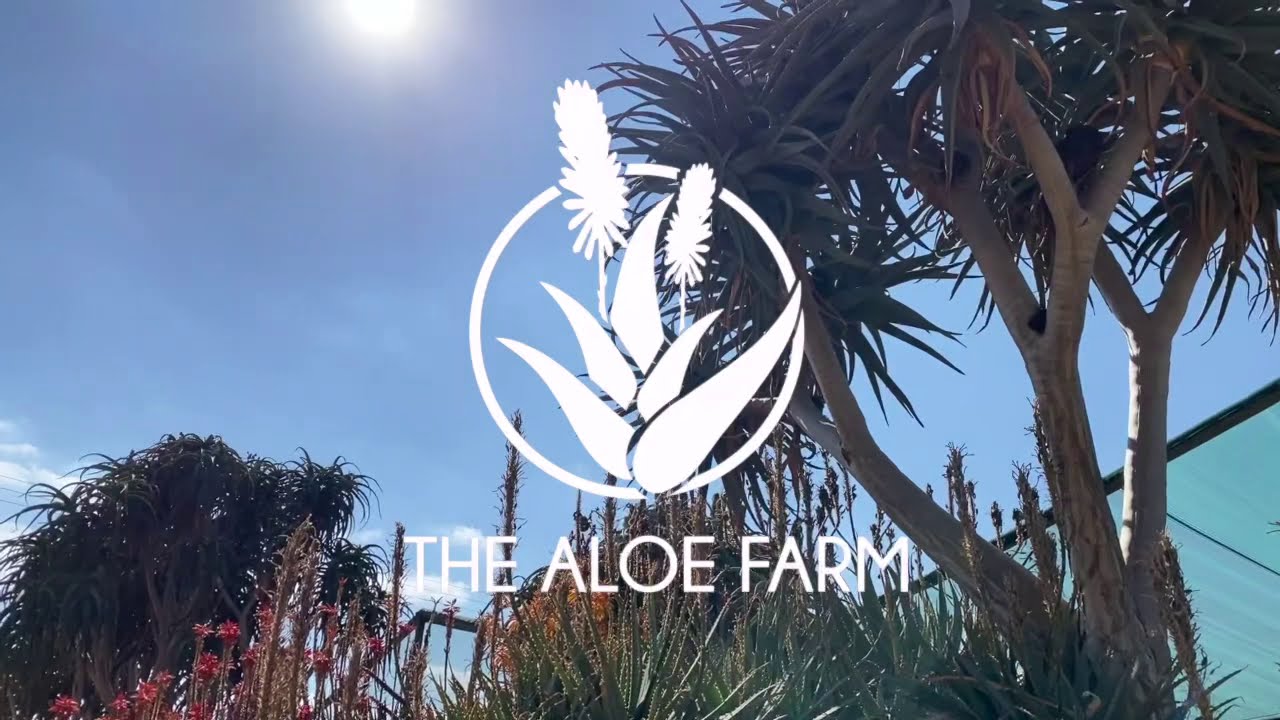 Welcome to THE ALOE FARM