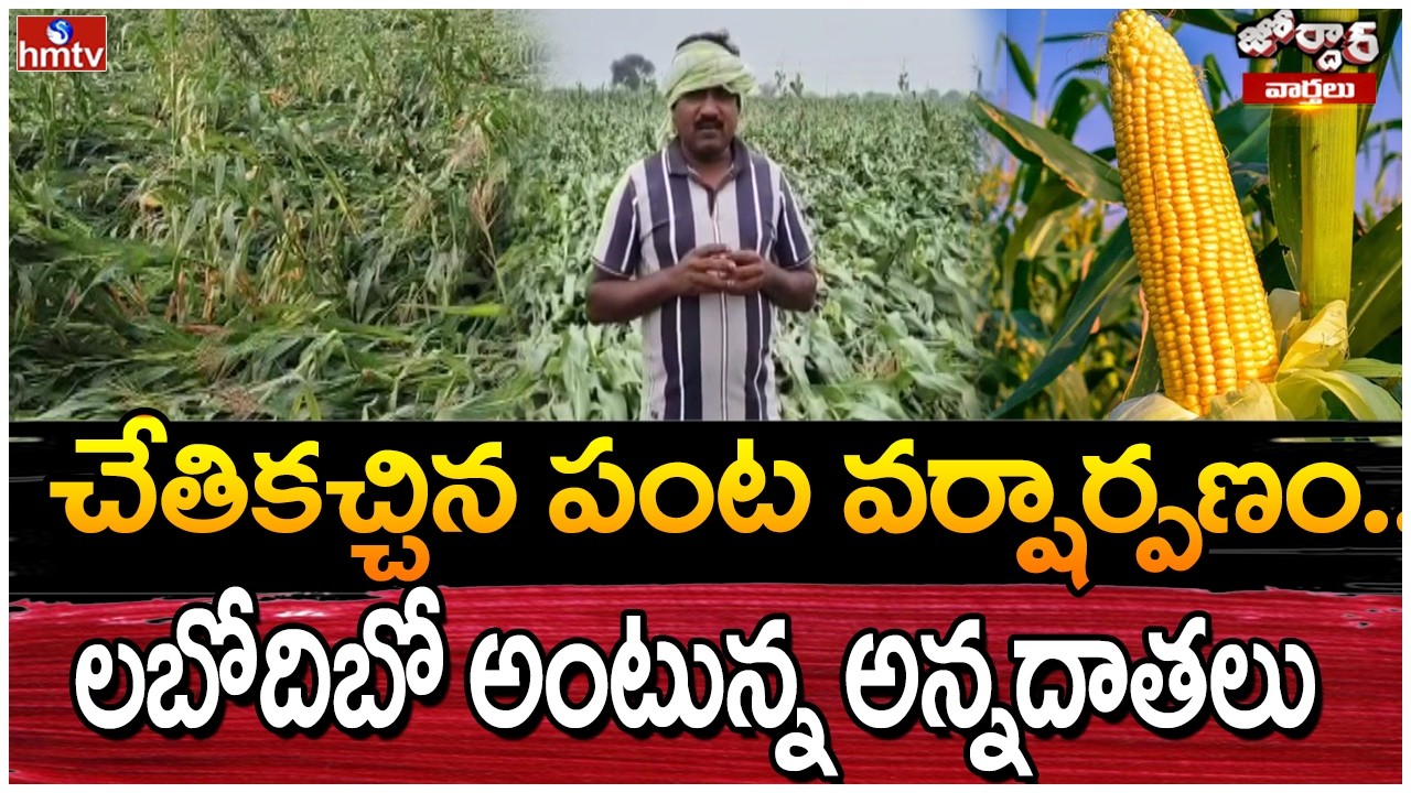 jordar Varthalu :చేతికచ్చిన పంట వర్షార్పణం.. లబోదిబో అంటున్న అన్నదాతలు |hmtv