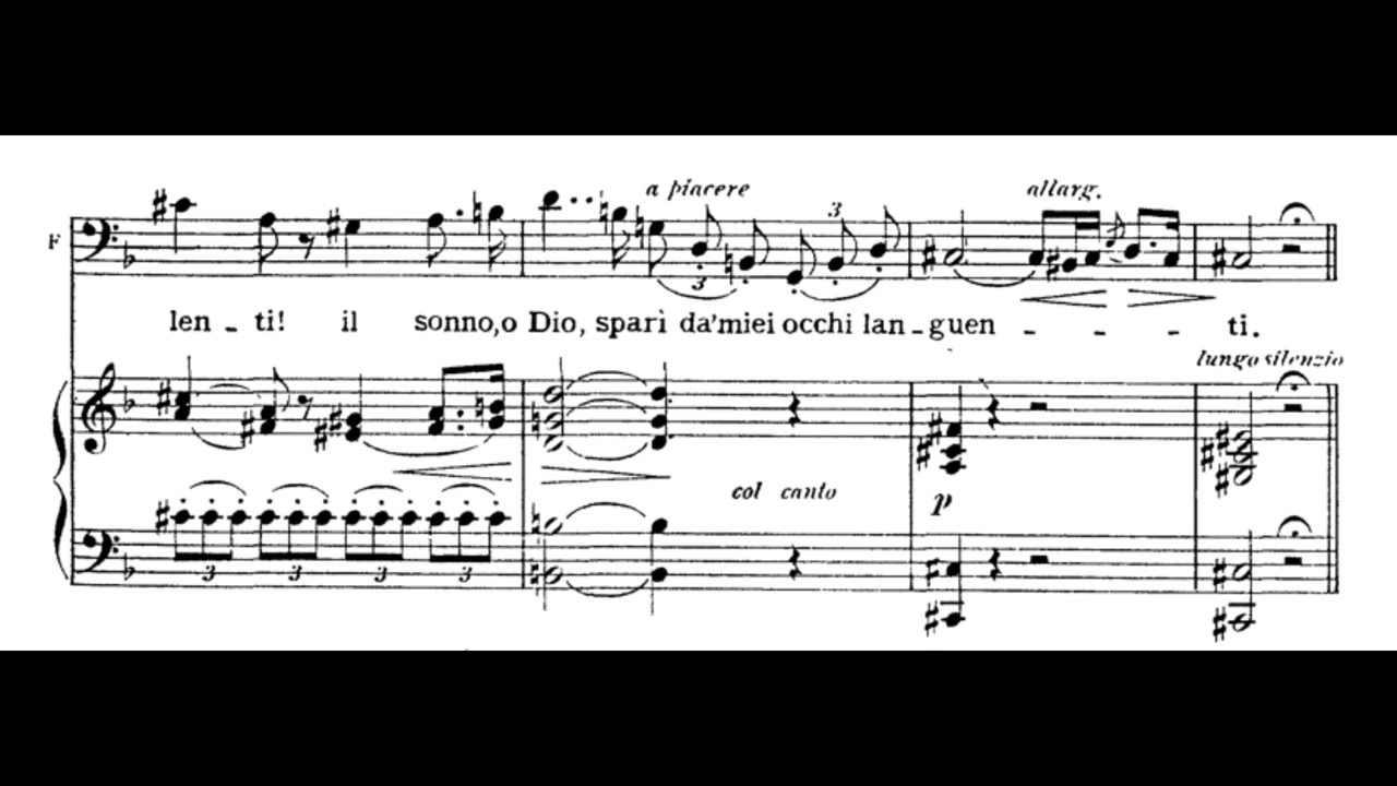 Ella giammai m'amò (Don Carlo - G. Verdi) Score Animation