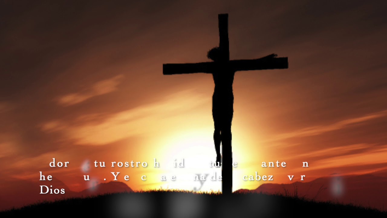 Adoraré tu cuerpo herido