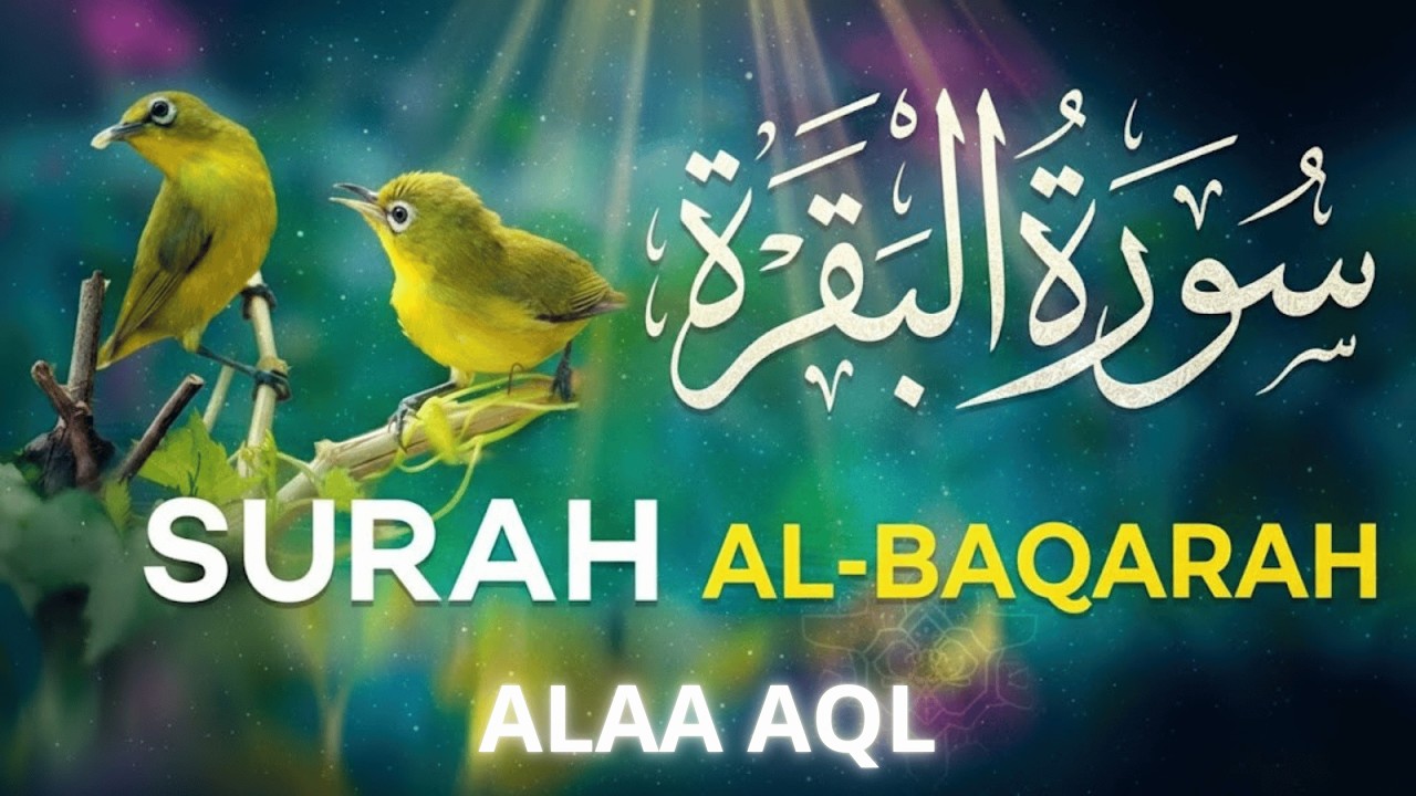 Surah Al-Baqarah Full | Beautiful Quran Tilawat | Quran Pak Recitation for Peace & Protection
