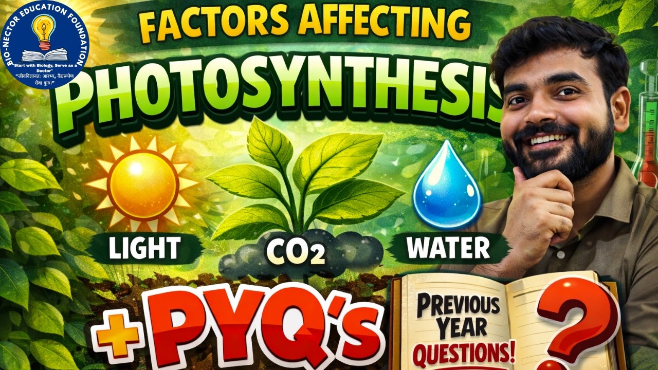 Factors Affecting Photosynthesis 🌿 | Light, CO₂, Temperature + PYQs | NEET 2026 Must Watch!