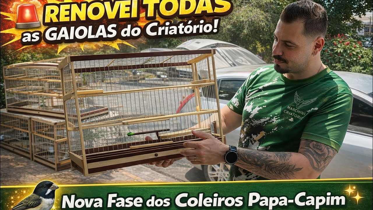 🚨 RENOVEI TODAS as GAIOLAS do Criatório! 🐦✨ Nova Fase dos Coleiros Papa-Capim
